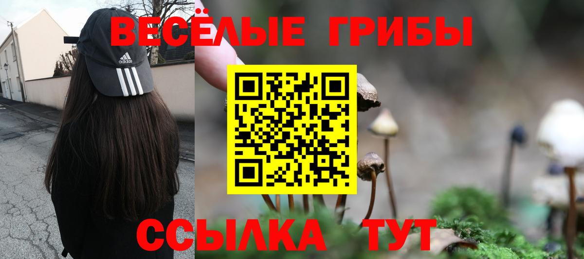 Партизанск  Псилоцибиновые грибы Magic Shrooms  Псилоцибиновые грибы Psilocybe  Вход с VPN 