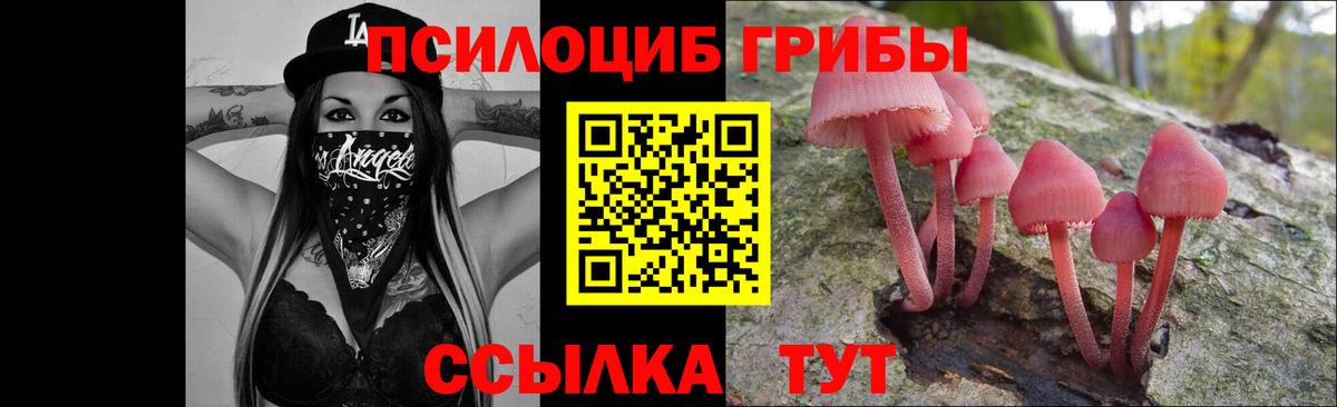 Галлюциногенные грибы ЛСД Партизанск